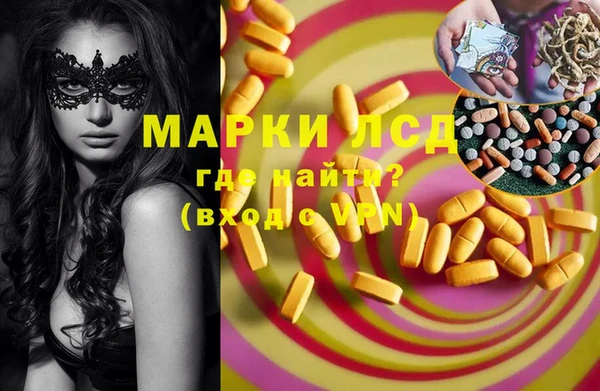 ПСИЛОЦИБИНОВЫЕ ГРИБЫ Кулебаки