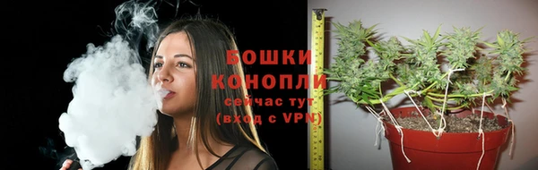 ПСИЛОЦИБИНОВЫЕ ГРИБЫ Кулебаки