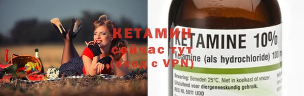 крисы Корсаков