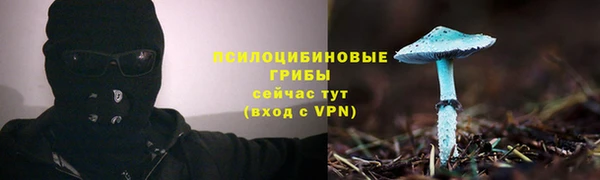 ПСИЛОЦИБИНОВЫЕ ГРИБЫ Кулебаки