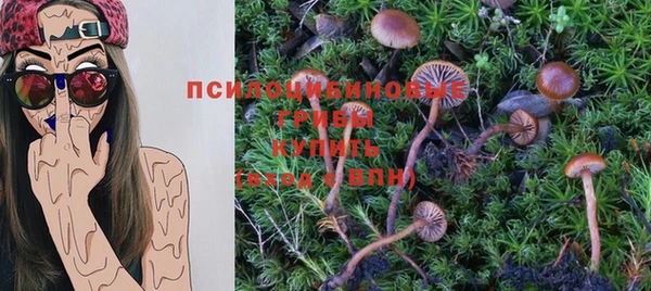 тгк Краснослободск